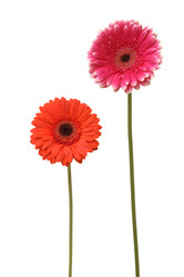 Similar image 1657619