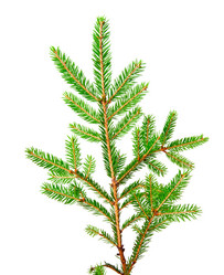 Similar image 1657622