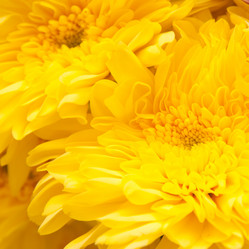 Similar image 1657631