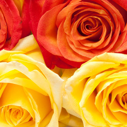 Similar image 1657632