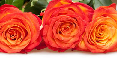 Similar image 1657670