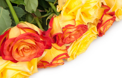 Similar image 1657671