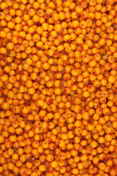 Similar image 1657676