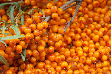 Similar image 1657678