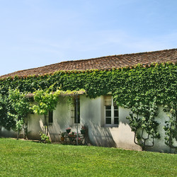 Similar image 1657680