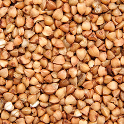 Similar image 1657704