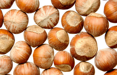 Similar image 1657705