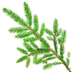 Similar image 1657706