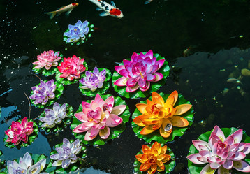 Similar image 1657773