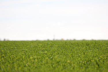 Similar image 1657803