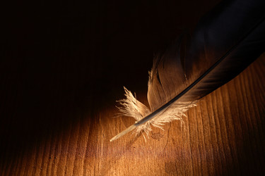 Similar image 1657980