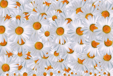 Similar image 1657982