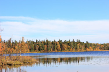 Similar image 1657985