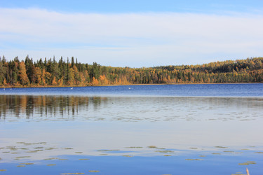 Similar image 1657986