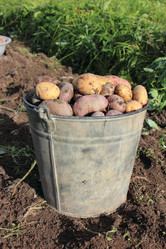 Similar image 1657996