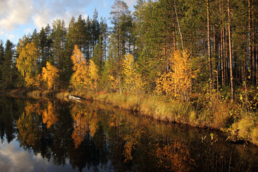 Similar image 1657997