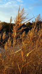 Similar image 1657999