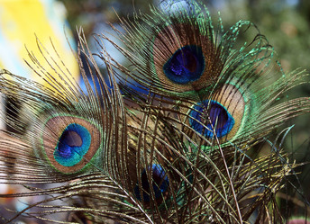 Similar image 1658004