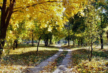 Similar image 1658005