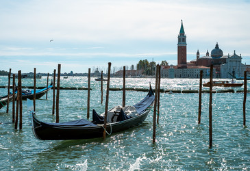 Similar image 1658025