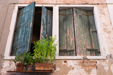 Similar image 1658026