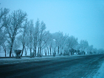 Similar image 1658028