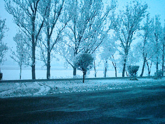 Similar image 1658031