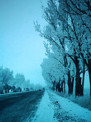 Similar image 1658032