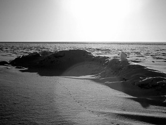 Similar image 1658033