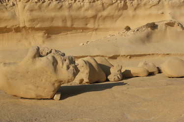 Similar image 1658062