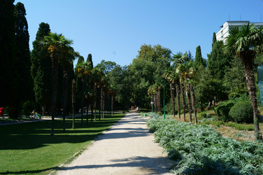 Similar image 1658083