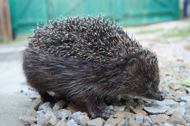 Similar image 1658086