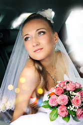 Similar image 1658101