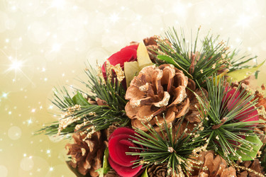 Similar image 1658123