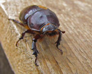 Similar image 1658142