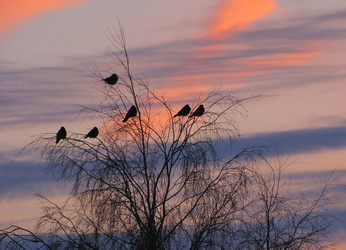 Similar image 1658143