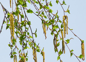 Similar image 1658152