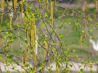 Similar image 1658154