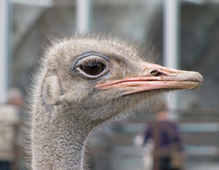 Similar image 1658157