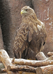 Similar image 1658158