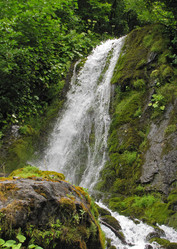 Similar image 1658166