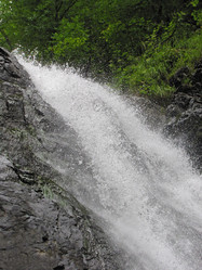 Similar image 1658169