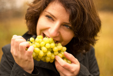 Similar image 1658170