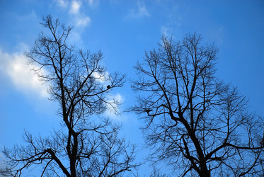 Similar image 1658172