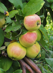 Similar image 1658171