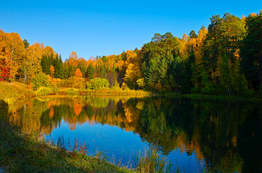 Similar image 1658192