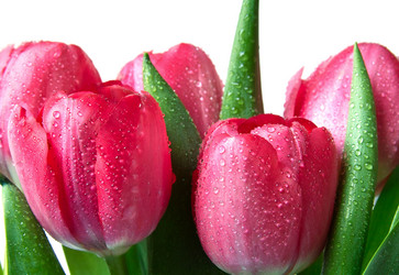 Similar image 1658242