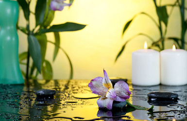 Similar image 1658247