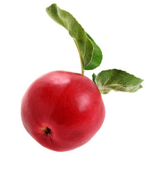 Similar image 1658248