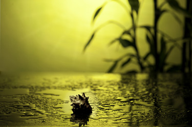 Similar image 1658249